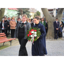 SAM_0664