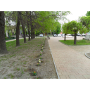 SAM_7687
