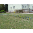SN850919_resize