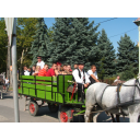 szureti mulatsag 048