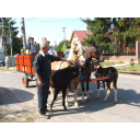 szureti mulatsag 071